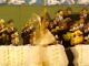 huyuzen023_thumb.png