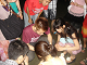 DSC09718_thumb.png