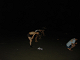 DSC09739_thumb.png