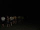 DSC09741_thumb.png