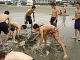 DSC09769_thumb.png