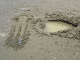 DSC09792_thumb.png