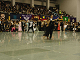 51th_fuyuzen_o_044_thumb.png