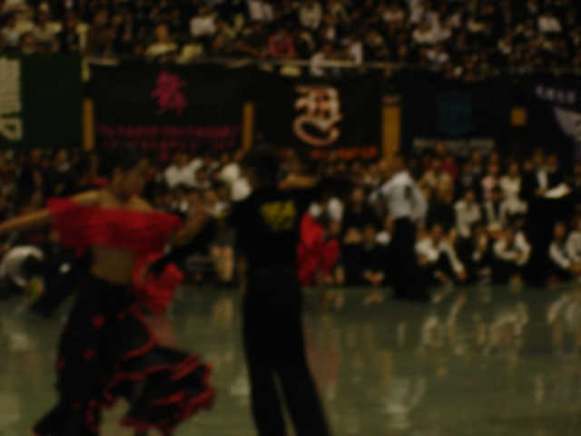 51th_fuyuzen_o_145.JPG