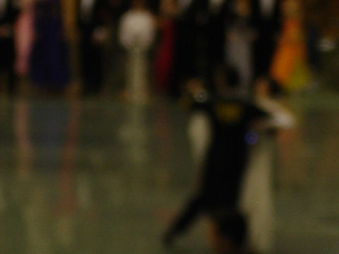 DSC08689.jpg
