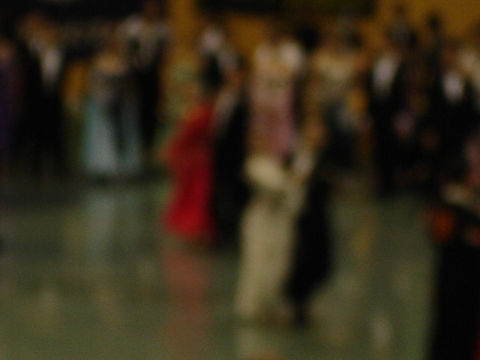 DSC08690.jpg