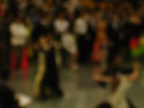 DSC08695.jpg
