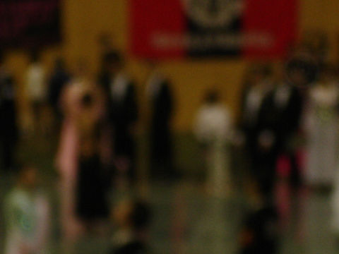 DSC08699.jpg