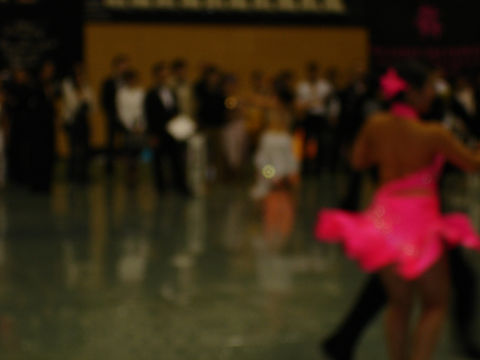 DSC08719.jpg