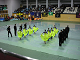 DSC08727_thumb.png