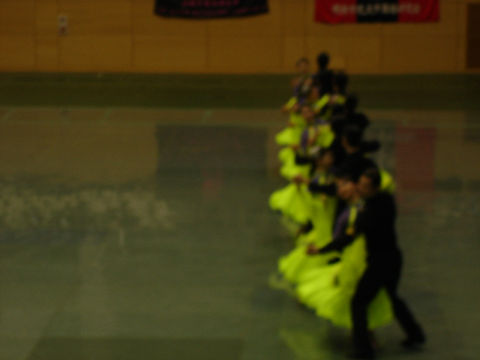 DSC08729.jpg