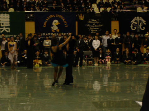 DSC08773.jpg