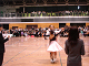 M_shin-029_thumb.png