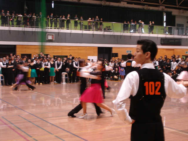 M_shin-038.JPG