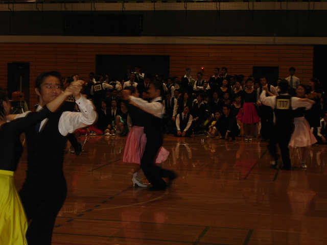 M_shin-052.JPG