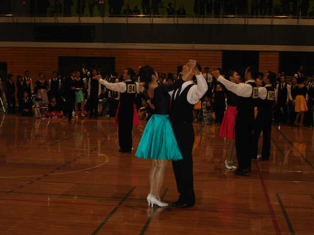 M_shin-054.JPG