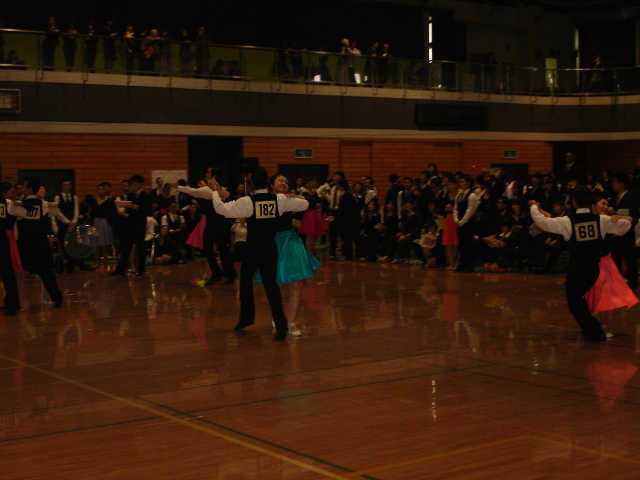 M_shin-055.JPG