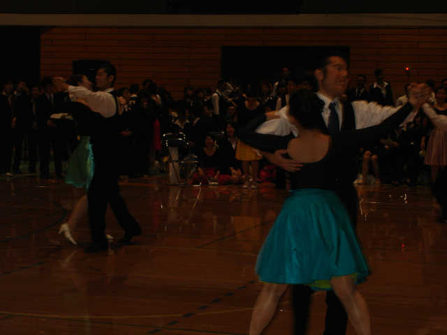 M_shin-058.JPG