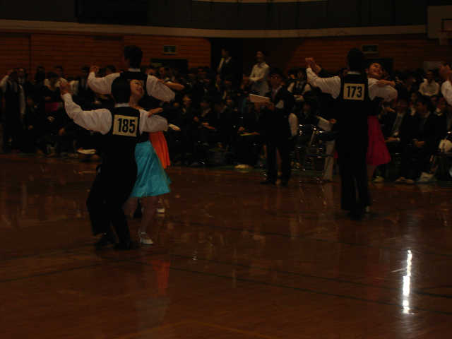 M_shin-061.JPG