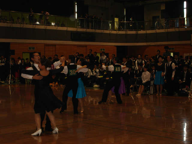 M_shin-145.JPG