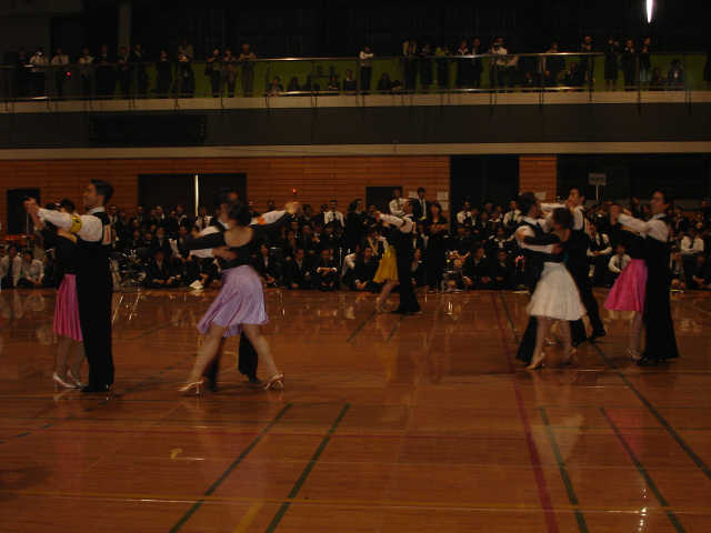 M_shin-175.JPG