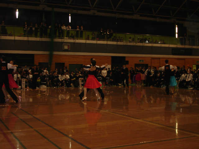 M_shin-181.JPG