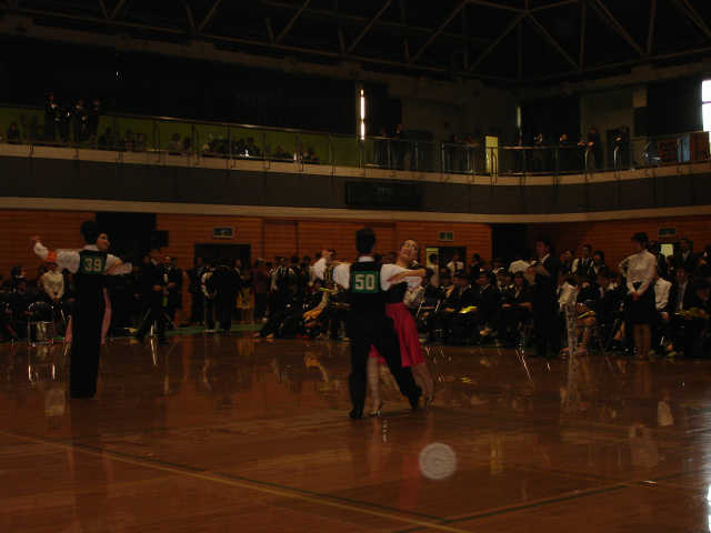 M_shin-183.JPG