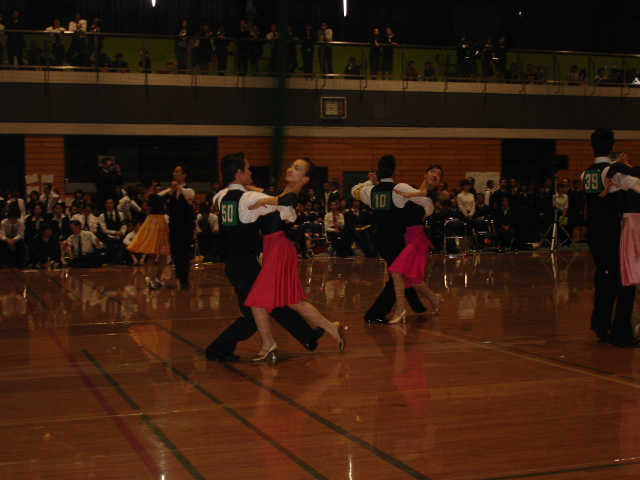 M_shin-187.JPG
