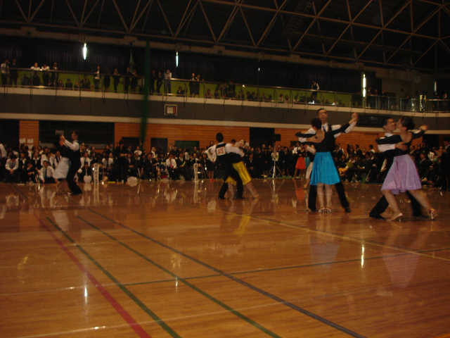 M_shin-191.JPG