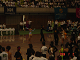DSC01265_thumb.png