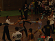 DSC01276_thumb.png