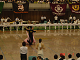 DSC01309_thumb.png