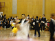 DSC09105_thumb.png