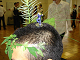 wakame-003_thumb.png