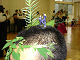 wakame-004_thumb.png