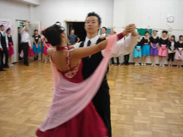 wakame-067.jpg