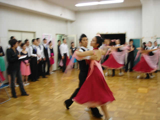 wakame-069.jpg