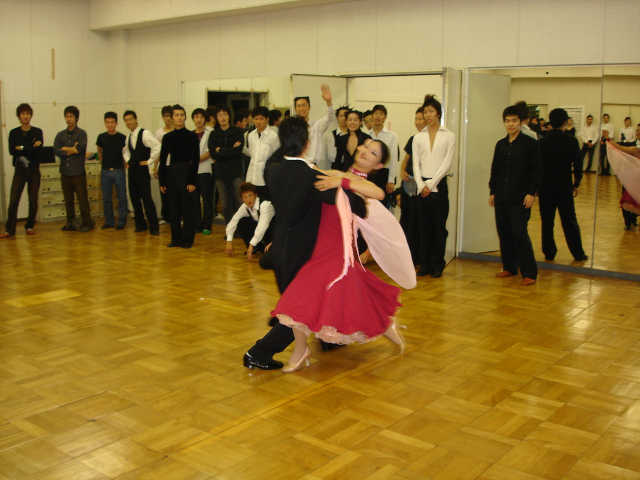 wakame-113.jpg