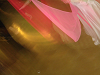 harudan07_28_thumb.png