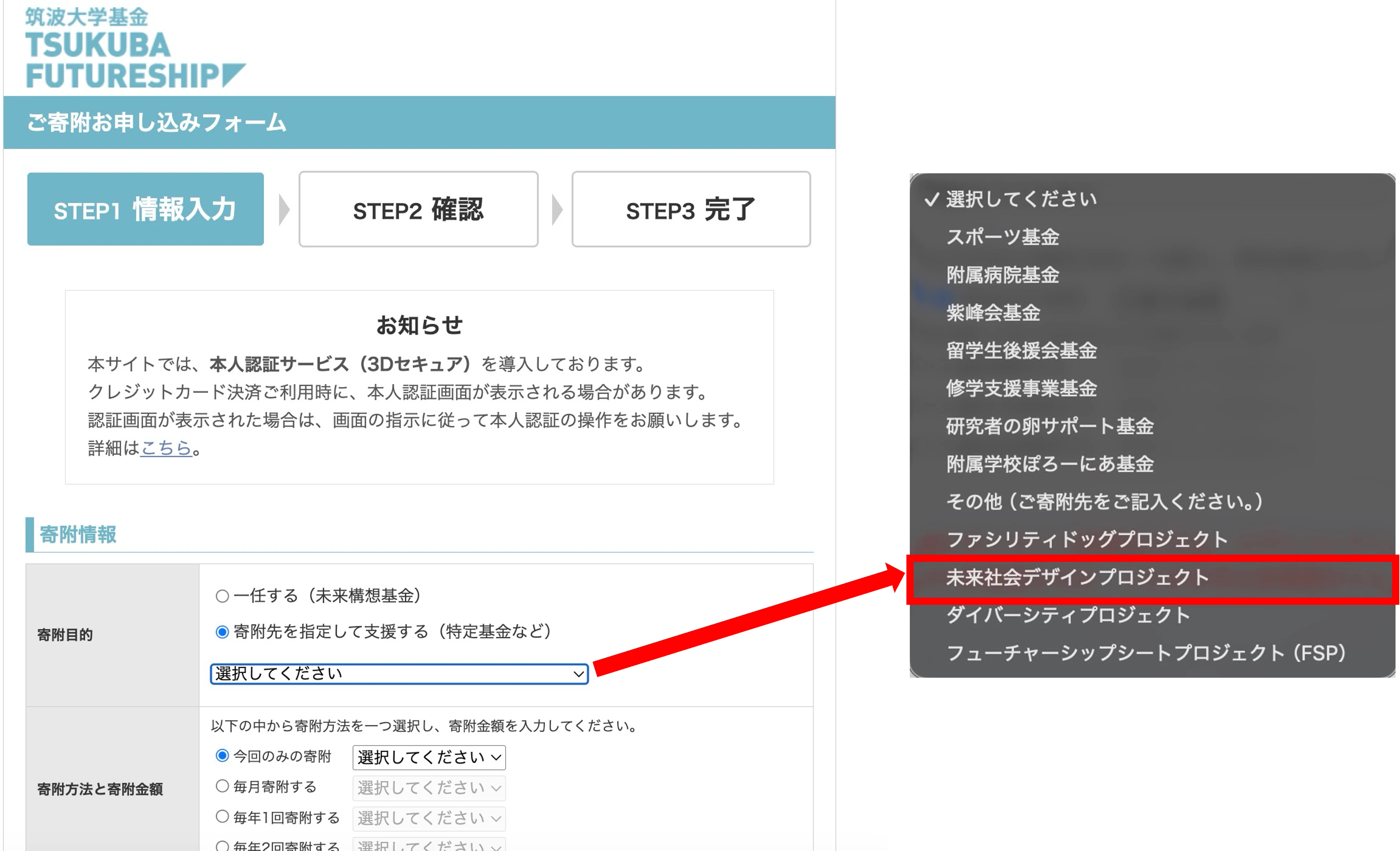 寄付目的で「寄付先を指定して支援する」を選び、プルダウンから「未来社会デザインプロジェクト」を選択する画面