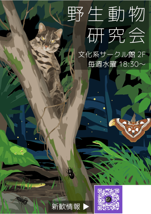 野生動物研究会 筑波大学新歓web 野生動物研究会 筑波大学新歓web