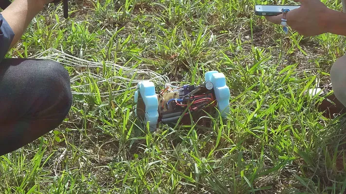 衛星プロジェクト