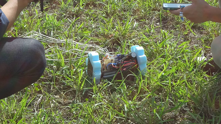 衛星プロジェクト