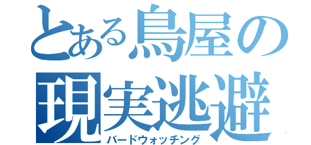 とある鳥屋の現実逃避(バードウォッチング)