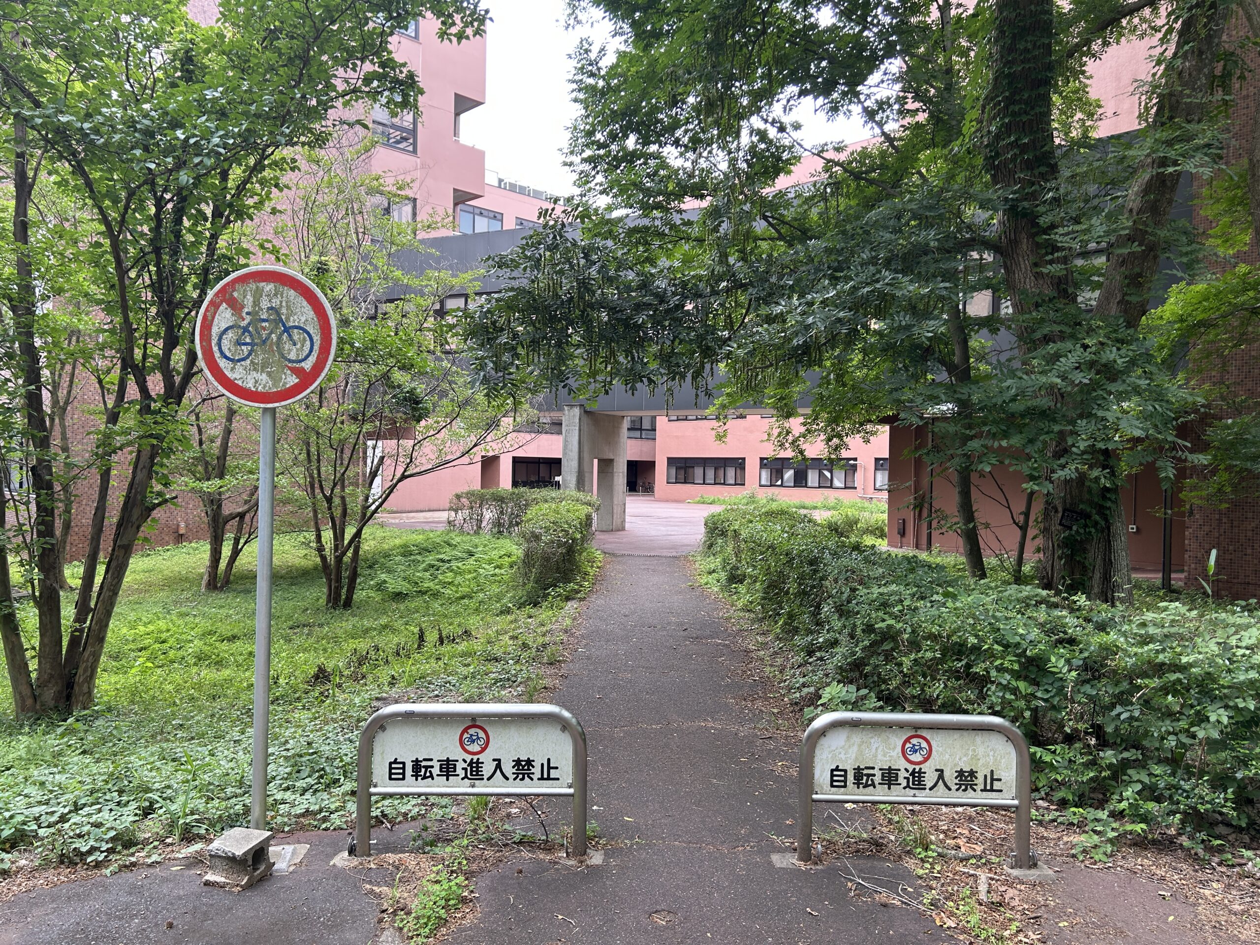 人間系学系棟通路の自転車通行禁止措置に関して
