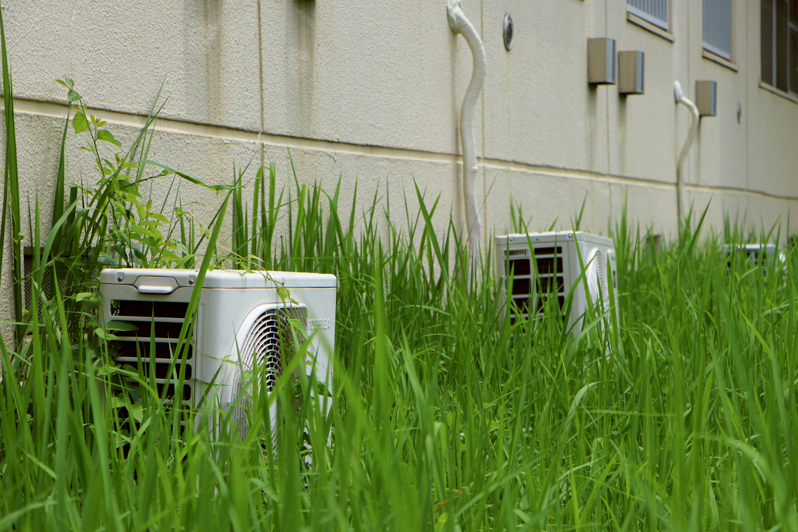平砂学生宿舎エリアにおいて並ぶレンタルエアコンの室外機。2026年6月30日。澁谷耕大撮影